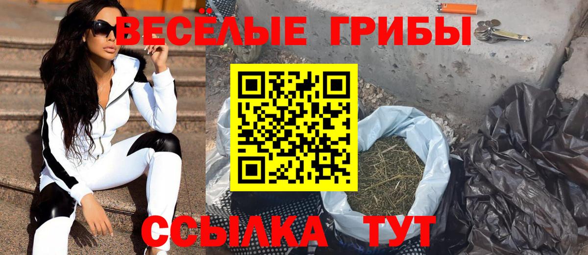Псилоцибиновые грибы Psilocybine cubensis Крымск
